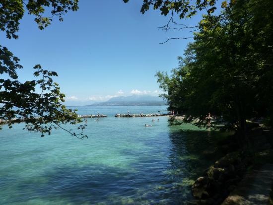 La Chataigniere