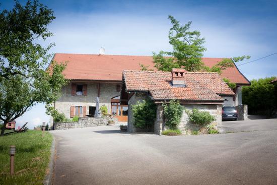 Le bonheur dans le pré