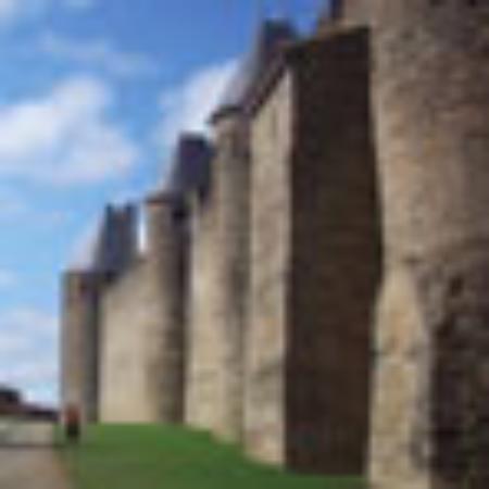 Les Tilleuls