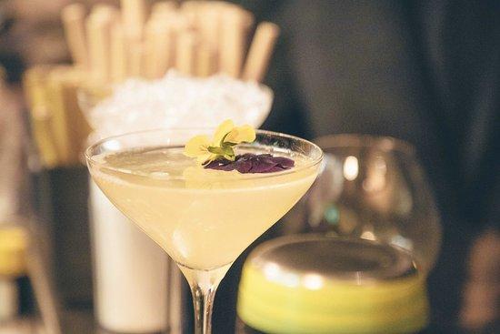 Shelter Bar