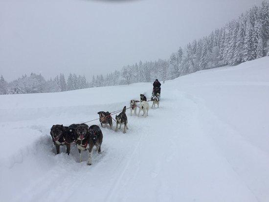 Mont du Villard Nord Bruno Cornali
