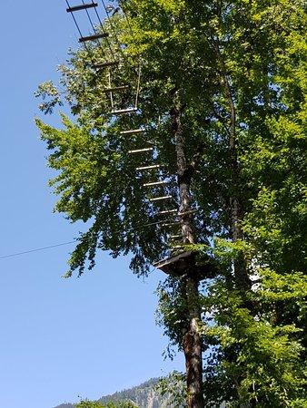 Parcours Acrobatique Forestier