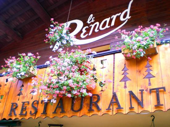 Le Renard