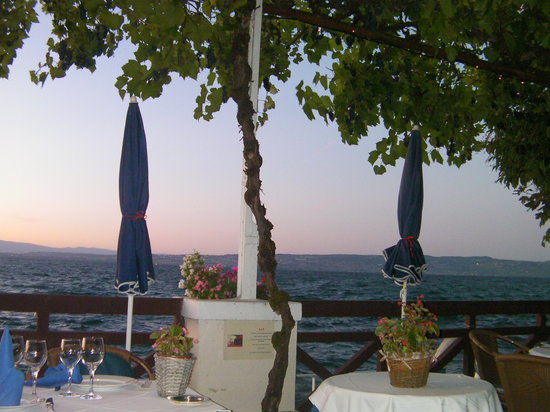 Hotel les Cygnes